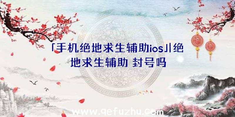 「手机绝地求生辅助ios」|绝地求生辅助